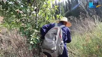 冂opho冂几oc几-九游线上体育